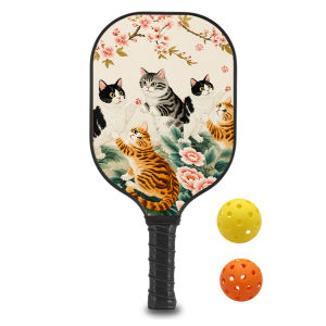 Pickleball Paddles Lightweight racks  whith Professiona paddle Fiberglass Graphite Face Non-Slip Grip USAPA Approved ID 60625-1654451161