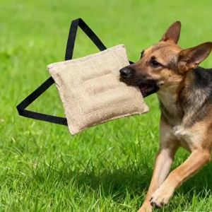 Jute Dog Training Bite Tug Toy Interactive Tug-of-War Chew Target for Dogs