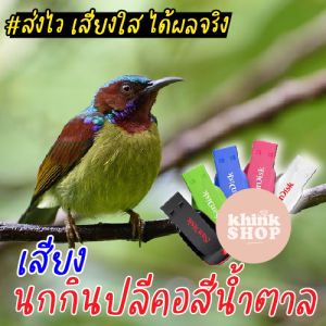 เสียงต่อนกกินปลีคอสีน้ําตาล เมมเสียงต่อนกกินปลีคอสีน้ําตาล แฟลชไดร์ฟเสียงต่อนกกินปลีคอสีน้ําตาล มีเก็บเงินปลายทาง