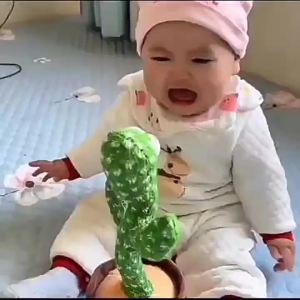 ต้นกระบองเพชรเต้นรำสไตล์ TikTok ต้นกระบองเพชรแกว่ง ต้นกระบองเพชรพูดได้ เสาหมุน ผู้ผลิต [ จัดส่งฟรี ]