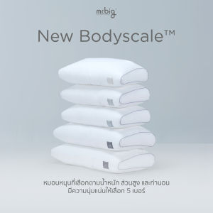 mr.big BodyScale Pillow หมอนหนุน Ergonomic เลือกตามน้ำหนักส่วนสูงเเละท่านอน