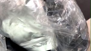 TRÀ GẠO LỨT THẢO MỘC (hộp 10 túi lọc)