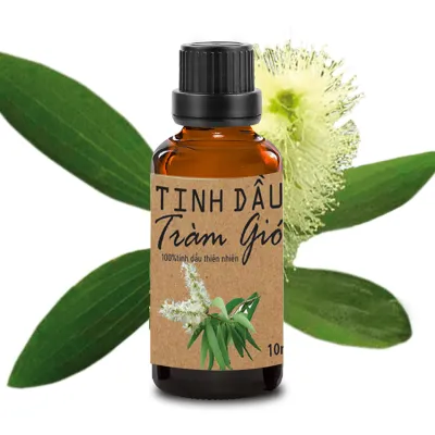Tinh dầu sả/bạc hà/ xá xị/tràm/bưởi/quế nguyên chất 100ml giúp thơm phòng thư giãn khử mùi thanh lọc không khí tạo không gian tươi mát- sunstore17