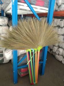 ไม้กวาดดอกหญ้า