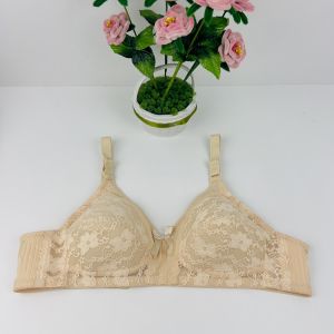 Plus Size Span Nipis Lightly Lined Wireless Bra C-D #36-50 Thin / Baju Dalam Wanita Penuh Tutup Tanpa Dawai [#9936 Lilian]