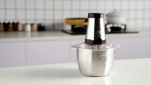 2L Electric Meat Grinder Food Chopper Stainless-Steel Blades Small Food Processor Removable Dicer 2 Speeds Meat Mincer