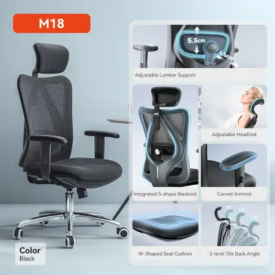 SIHOO M18 Ergonomic Office Chair Mesh Chair Adjustable Lumbar Support 3D Armrests Home Office