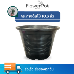 กระถางต้นไม้ 10 นิ้ว รุ่นลาย