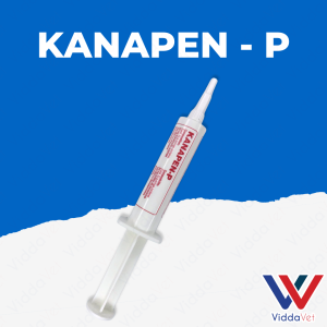 Dual Action Antibiotic for Animals 10g Kanapen P for Animals
