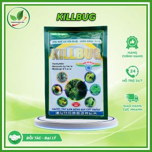 Chế Phẩm KILLBUG. Gói 100g