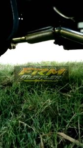 Fleksibel Blumoon PNP Ragasa Ps 120 & Ps100 Ngir ngirr