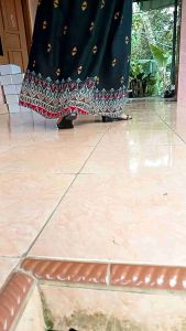 sandal Wanita sandalterkin/perepuan