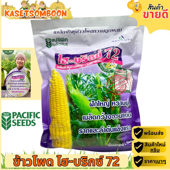 เมล็ดพันธุ์ข้าวโพดหวาน ไฮบริกซ์ 72 ตราแปซิฟิค 1 กก.