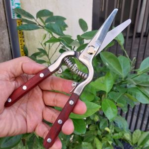 Kéo cắt cành cây NHẬT BẢN cao cấp tay ốp gỗ bằng thép trắng đúc không gỉ