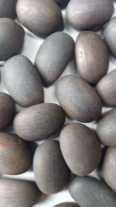 Bibit Benih Biji Aren  Genjah Per Super  100 Biji Bonus 10 Biji