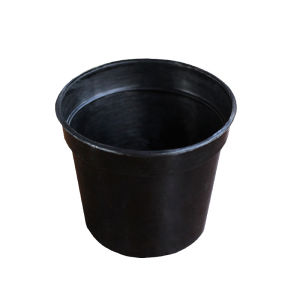 50/100 pieces  Seedling Pot Succulent and Cactus and Small Plant Pot Nursery Pot