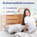 [ส่งฟรี] หมอน ErgoLab Deep Sleep | ขจัดอาการปวดคอและเปลี่ยนชีวิตการนอนด้วยการนอนหลับลึกขึ้น (ประกันคืนเงินใน 90 วัน + สินค้ามีประกัน 1 ปี). 