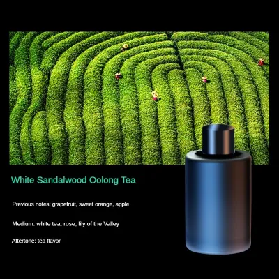 Car Air Diffuser120ML Car Air Freshener PerfumeSmart AI + USB Plug in Type Car Air Freshener HumidifierEssential Oil Aromatherapy Fragrance Lasts 180 Day Pewangi Kereta汽車香水車載香薰空气净化器