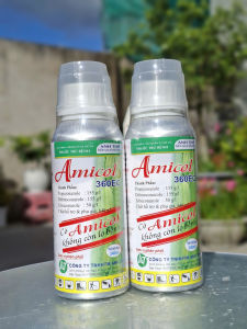 (Chai 240ml) Thuốc trừ bệnh Amicol 360EC Phòng & Trị Lem lép hạt trên lúa. Có Amicol - Không còn lo bệnh.