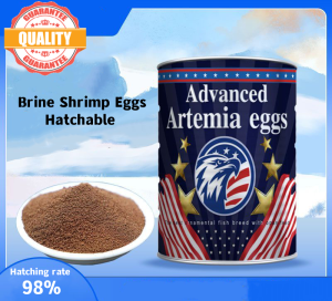 Advanced BBS Eggs (bohai) Baby Brine Shrimp Eggs Hatchable