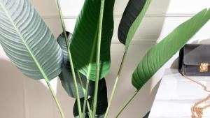 SStilettos High Heels Roman Stud Caged Pump Size 34-41L728