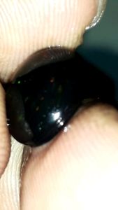 batu cincin kalimaya black opal solid asli banten