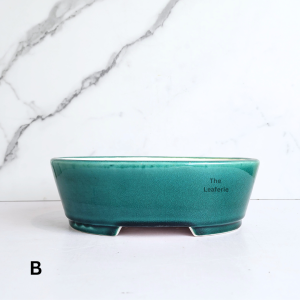 The Leaferie Bonsai Tally (Series 10) Oval flowerpot flowerpots flower pot planter planters ceramic