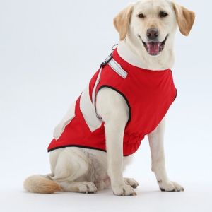 ZHONGMEET Windproof High Collar Dog Jacket with Harness Waterproof Winter Dog Coat Fashion Warm Dog Vest Jacket Winter