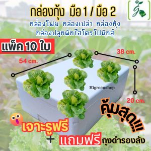 (แพ็ค 10 ใบสุดคุ้ม) ****กรุณาสั่งเพียง 10 ใบ/ออเดอร์ กล่องโฟม กล่องกุ้งมือ1 / มือ 2 ปลูกผัก เจาะรูฟรี+แถมถุงดำรองลัง