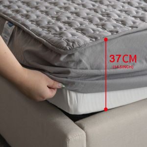 Luxe Home Haven Cadar Mattress Protector Cover Fitted Bedsheet Elastic Single/Queen/King Cotton Sheet Tilam Cadar Anti-Slip Mattress Protector 床单