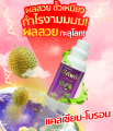 อีโค่พลัส+อามีน่าอะมิโนทางด่วน 28ชนิด ชุดขยายผลทุเรียน พืชโตไว ต้นแข็งแรง ใบเขียว ขั้วเหนียว ลดการหลุดร่วงดอกและผล  ป้องกันผลแตก 1 ลิตร. 