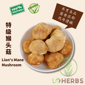 Loherbs 特级猴头菇 Lions Mane Mushroom 【素食名菜 斋菜】 Hericium Erinsceus Mushroom