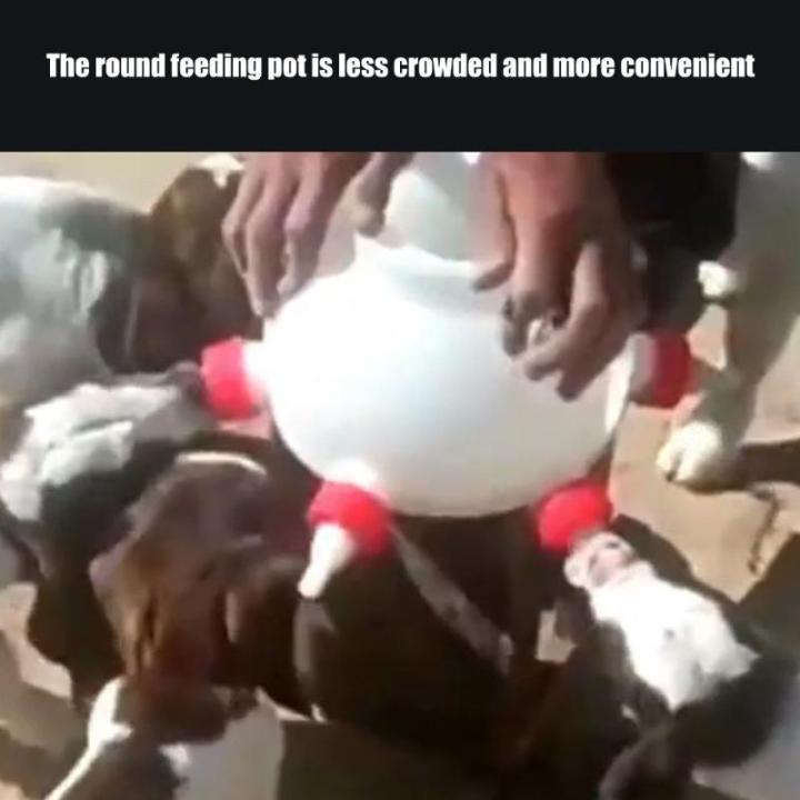 Tr%E1%BB%8Dng%20l%C6%B0%E1%BB%A3ng%20nh%E1%BA%B9%20ch%C4%83n%20nu%C3%B4i%20b%C3%ACnh%20cho%20%C4%83n%20ng%C6%B0%E1%BB%9Di%20s%E1%BB%AD%20d%E1%BB%A5ng%20th%C3%A2n%20thi%E1%BB%87n%20v%E1%BB%9Bi%20d%C3%AA%20b%C3%ACnh%20cho%20%C4%83n%20S%20ch%C4%83n%20nu%C3%B4i%20ph%E1%BB%A5%20ki%E1%BB%87n%20%C4%83n%20-%20Image%207