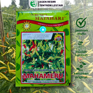 Benih Cabai Rawit MAHAMERU 10 gr Cap Bunga Matahari Hydroponik Hidroponik Biji Cabe Putih Pedas Dataran Rendah Tinggi