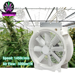 NEW พัดลมอุตสาหกรรม for Green house ขนาด 20นิ้ว สี่เหลี่ยม ระบบควบคุมความเร็วสามระดับ พัดลมใหญ่ Super Far 30 ม.