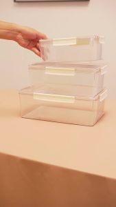 Refrigerator Storage Food Grade Large Capacity Kitchen Fruit Vegetable Picnic Sealed Bento Plastic Fresh-Keeping