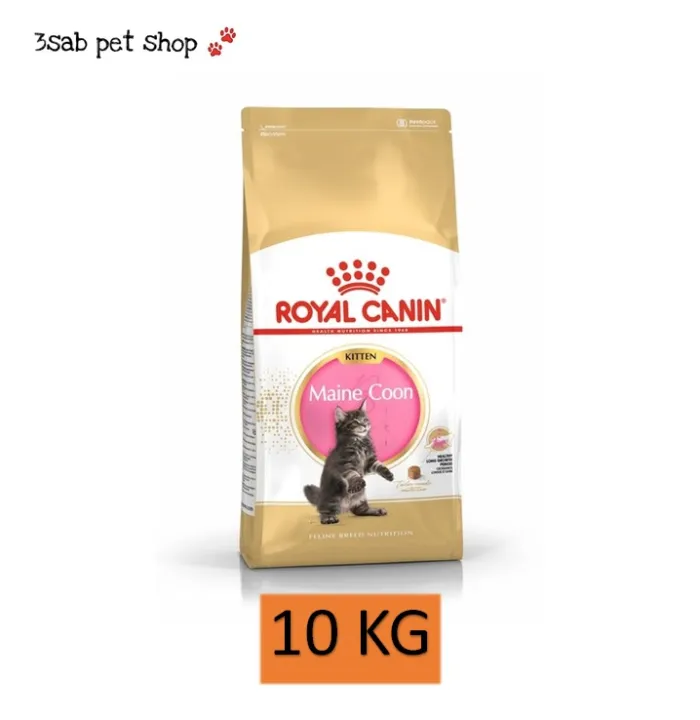 Royal Canin Cat Maine Coon Kitten อาหารเม็ดลูกแมวพันธุ์เมนคูน
