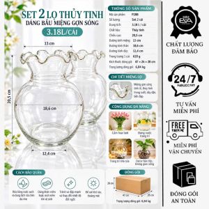 Set 2 Bình Hoa Thủy Tinh Dáng Bầu Cổ Loe P28 Decor Cắm Hoa Trồng Cây Cao Cấp