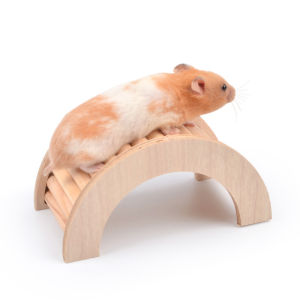 ของเล่นหนูแฮมเตอร์ สะพาน สะพานไม้ สะพานโค้ง สะพานคลื่น บันไดไม้ แต่งกรงสัตว์เลี้ยง ของเล่นสะพานไม้ บันไดไต่ สำหรับหนูแฮมเตอร์ สีไม้