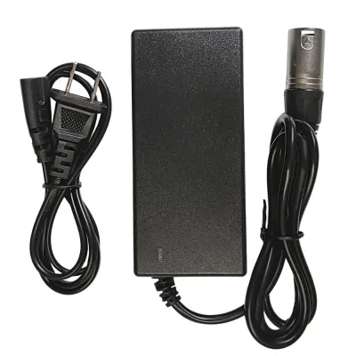 PHILLIPOHN Universal Electric Bike Mobility Scooter 42V 2A Ebike Charger Fast Charging Power Adapter