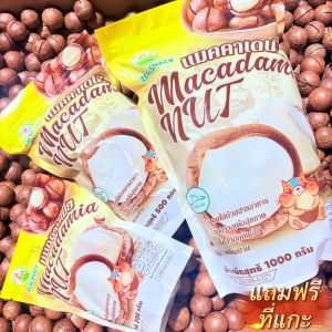 แมคคาเดเมีย 200g เม็ดใหญ่ เต็มเปี่ยมด้วยสุขภาพ อร่อยและมีประโยชน์