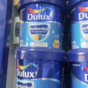 Sơn Ngoài trời thất Dulux Weathershield Colour Protect mờ E015 - 5lit( chính hãng Hà Lan)