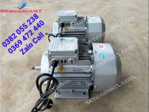Mô tơ điện 1 pha 1500w tốc độ 2900v/p Toàn Phát đồng Hàn Quốc 100%