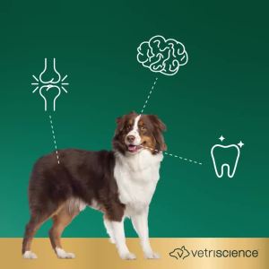 VetriScience Extra Strength Gut Health for Dogs and Cats 180 Count