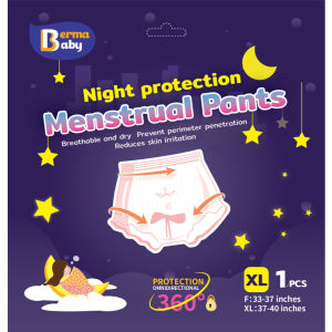 【COD】5PCS Womens Menstrual Pants Adult Diaper Pants Pull Ups Hygiene Panties Disposable Hygiene Panties