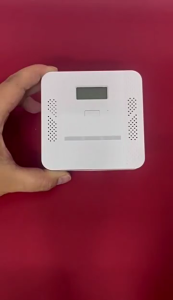 Digital Readout CO Detector With Electrochemical Sensors For Accurate Gas Leak Detection In Homes Car Hotel Protections
