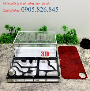 Hộp nuôi kiến kích thước 20-20-10cm