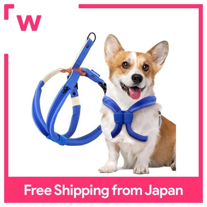 Harness for small dog with collapsed trachea best sale