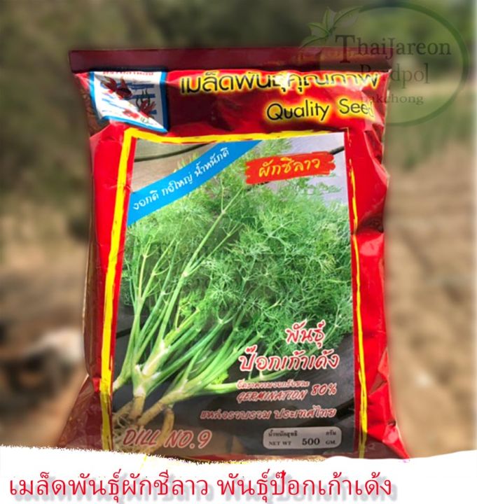เมล็ดพันธุ์ผักชีลาว ป๊อกเก้าเด้ง ตราปลาทอง เก็บเกี่ยว 45 วัน