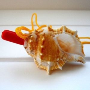 BLACKON Crafts Instrument Party Creative Horn Natural Kids Souvenirs Children Toys Survival Tool Gift Conch Whistle